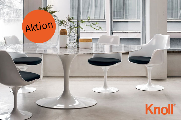 Knoll International Herbst 2024 Aktion