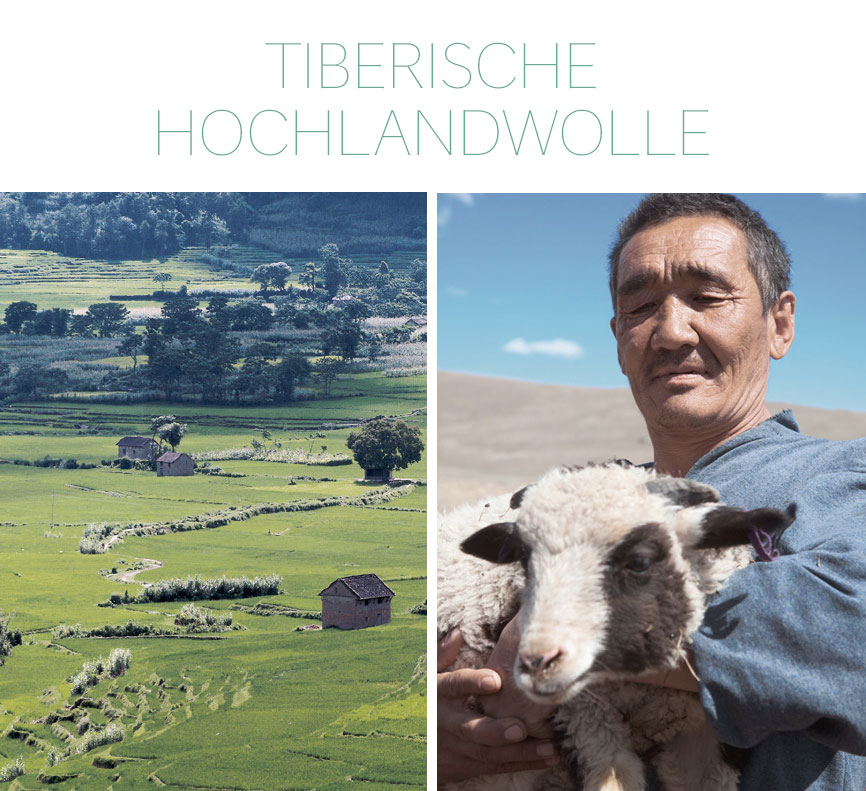Tibetische Hochlandwolle