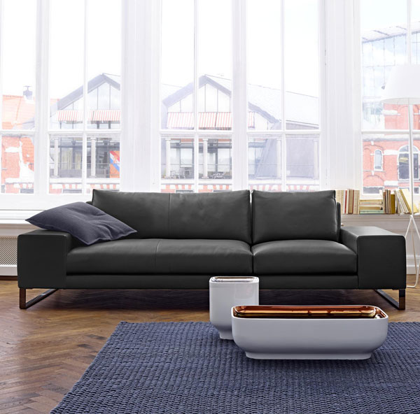 Ligne Roset Exclusif 2 Sofa