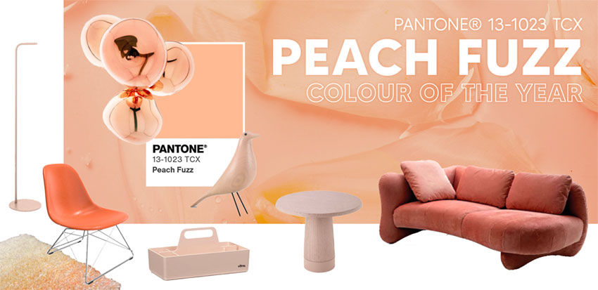 Peach Fuzz – die Farbe des Jahres 2024