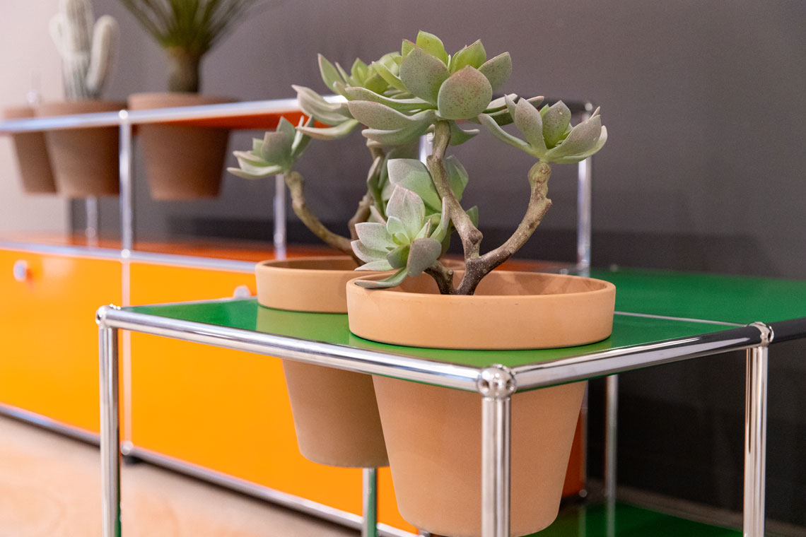 Pflanzenwelten für USM Haller Zimmerpflanzen – die perfekte Dekoration für Ihr Zuhause