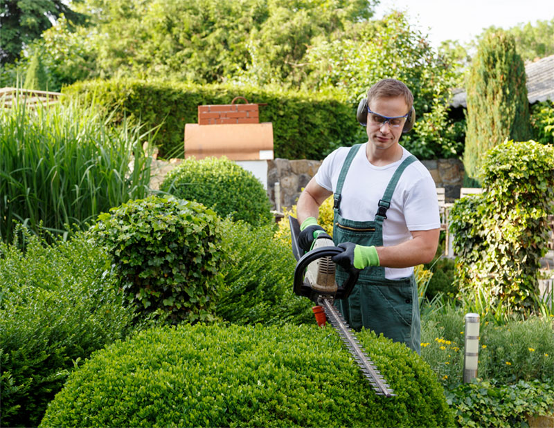 Thomas Greis – Garten- und Landschaftsbau