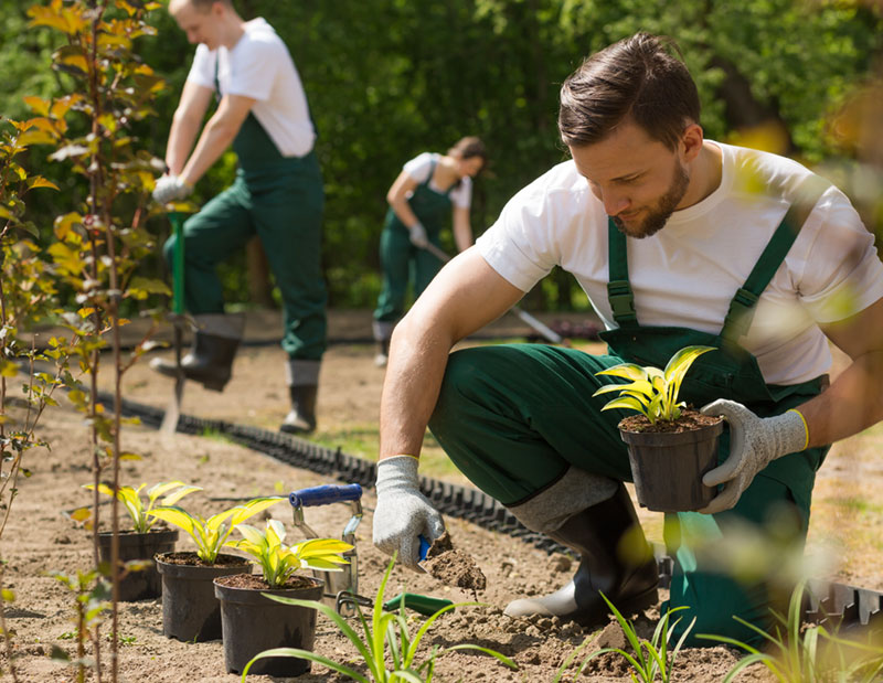 Thomas Greis – Garten- und Landschaftsbau