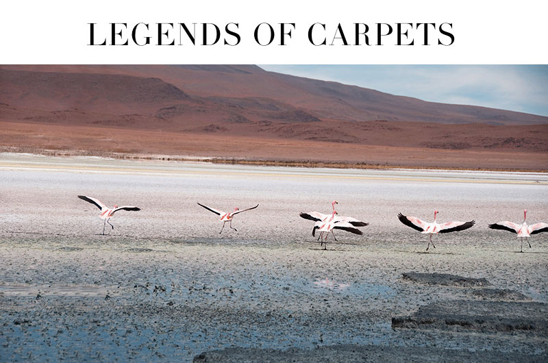 Legends of Carpets – Teppiche von Walter Knoll